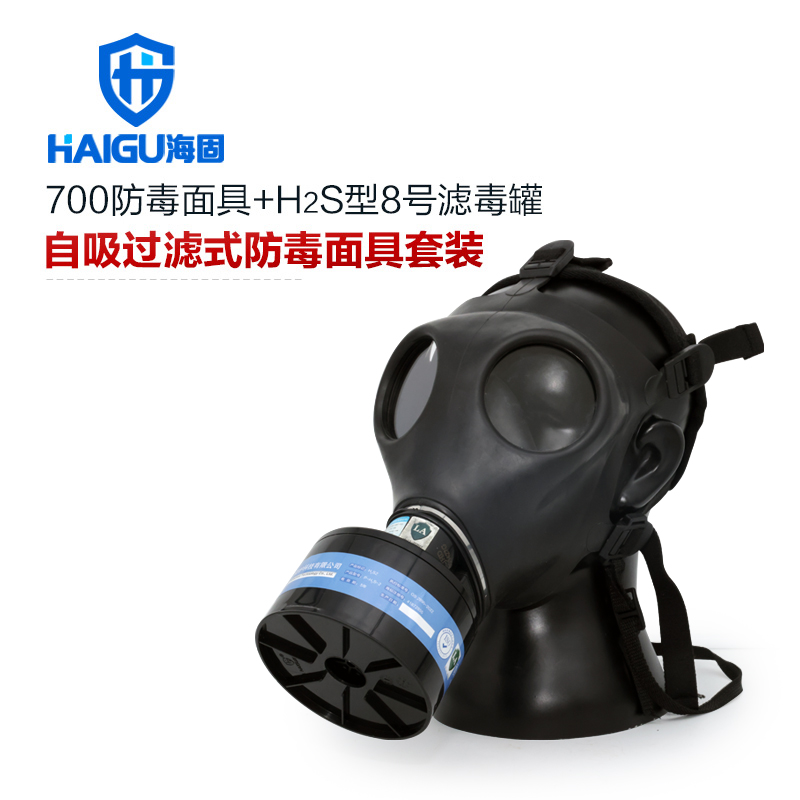 海固700全面罩+HG-ABS/P-H2S-2濾毒罐 硫化氫活性炭防毒面具