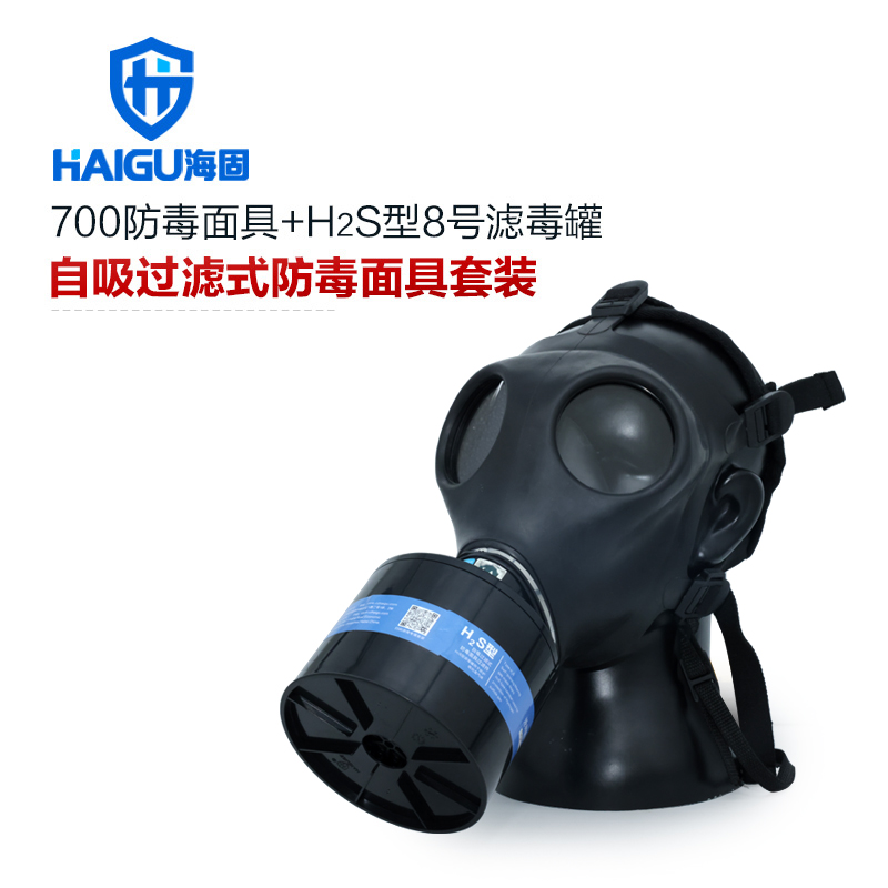 海固700全面罩+P-H2S-3濾毒罐 硫化氫氣體防護(hù)